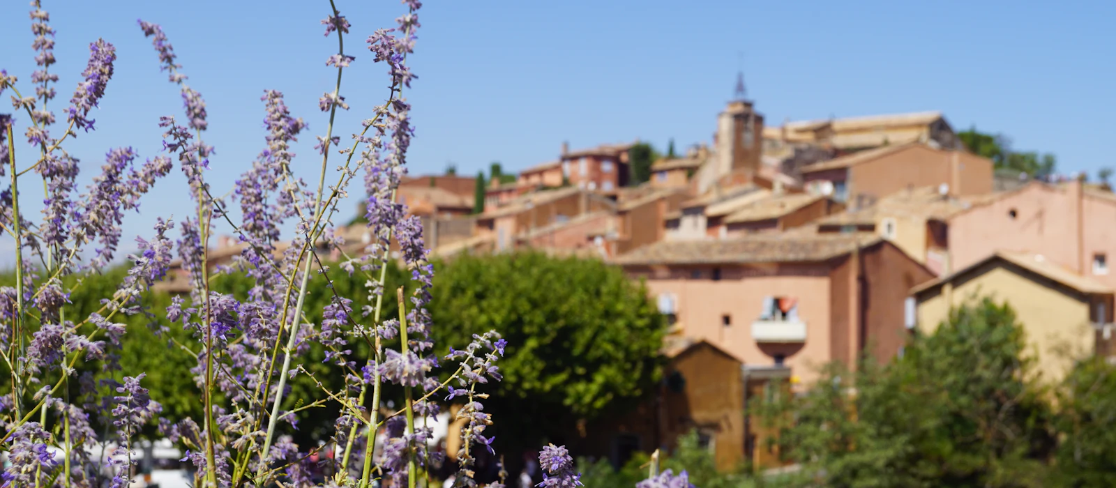 Village perché des Alpes-Maritimes derrière un massif de fleurs