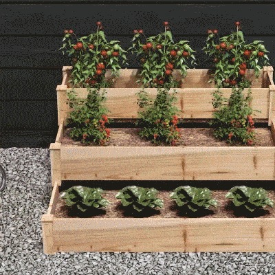 Carré potager 3 niveaux en bois massif, 120 × 120 cm, hauteur 56 cm
